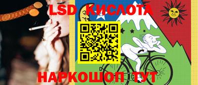 СК Новодвинск