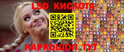 СК Новодвинск
