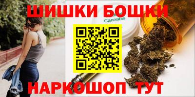 СК Новодвинск