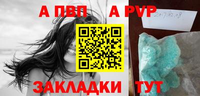СК Новодвинск