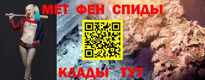 СК Новодвинск