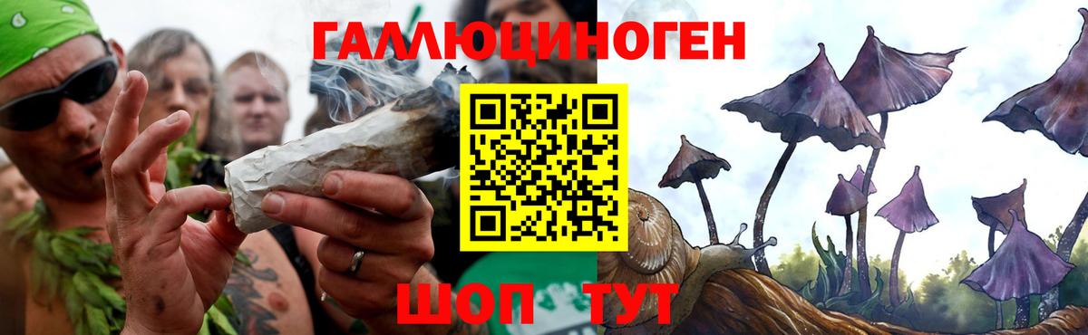 Галлюциногенные грибы GOLDEN TEACHER  Вход с VPN  Псилоцибиновые грибы Psilocybine cubensis  Улан-Удэ 